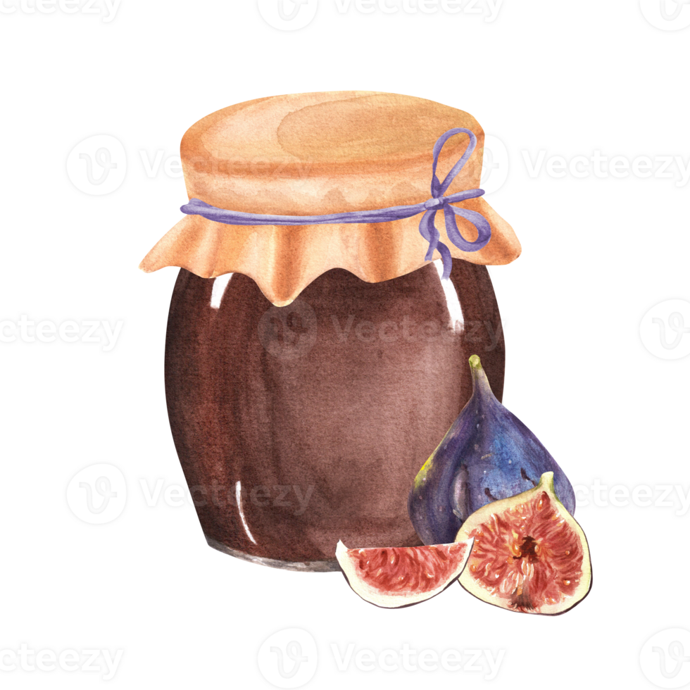 Hand-drawn watercolor illustration of fig jam in a glass jar with some ripe and fresh figs next to it png