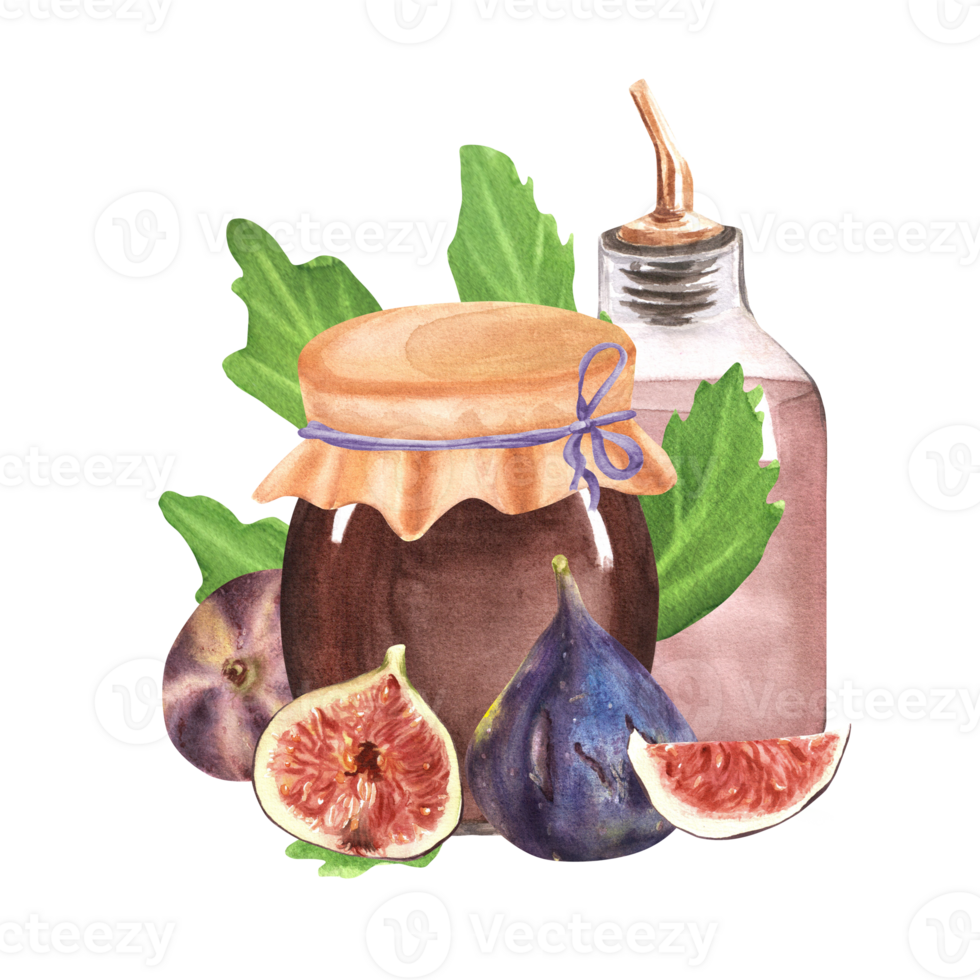 Hand-drawn watercolor illustration. Fig jam and lemonade in glass jars and bottle and also some ripe fresh figs and slices next to them png