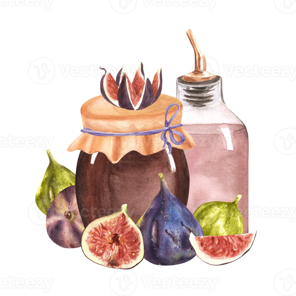 Hand-drawn watercolor illustration. Fig jam and lemonade in glass jars and bottle and also some ripe fresh figs and slices next to them png