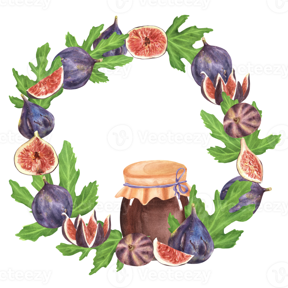 Hand-drawn watercolor illustration. Wreath with fresh, ripe figs, leaves and slices and also a glass jar with fig jam png
