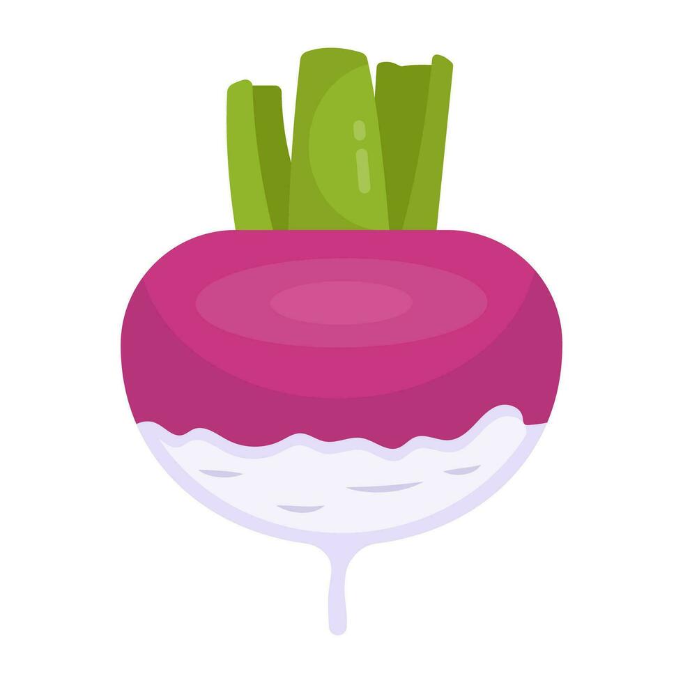 Modern design icon of turnip vector