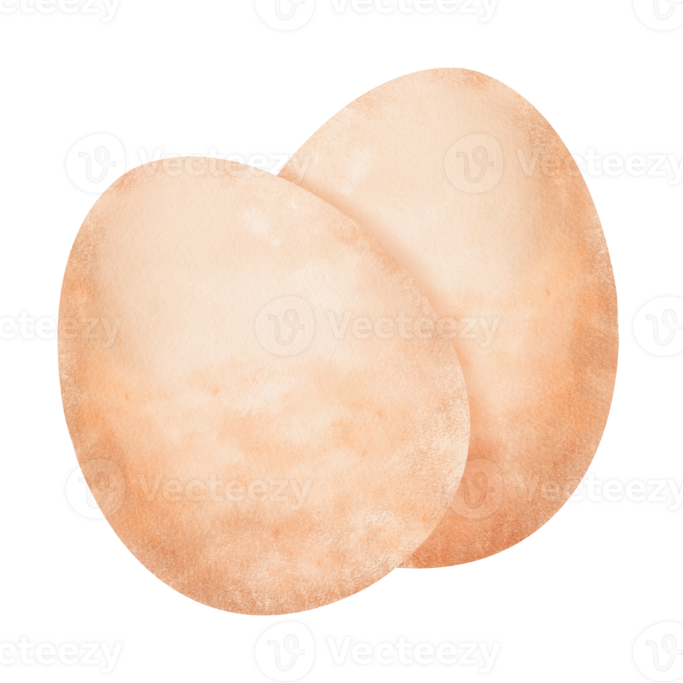 Watercolor composition featuring two eggs. for menus and packaging of farm-fresh products. The natural and artistic depiction adds authenticity and visual appeal to culinary and agricultural contexts png