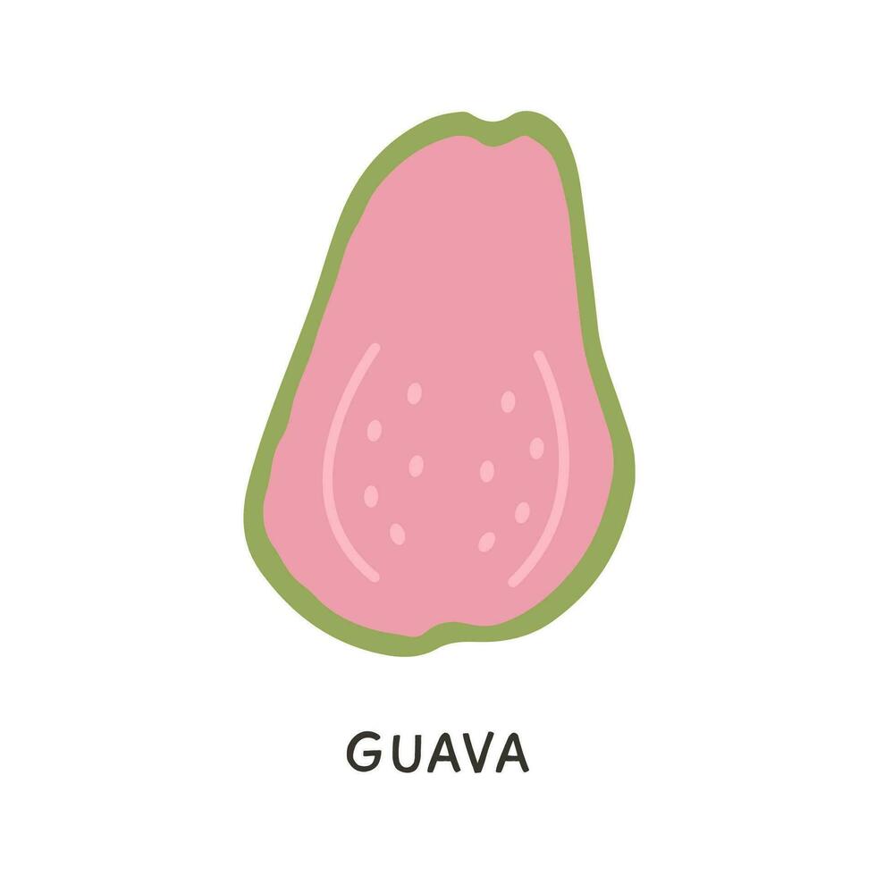 Half Cut Ripe Pink Guava fruit isolated on white background. Tasty organic fresh exotic tropical fruits. Wholesome vegetarian food. Vector illustration. Colored Doodle icon.