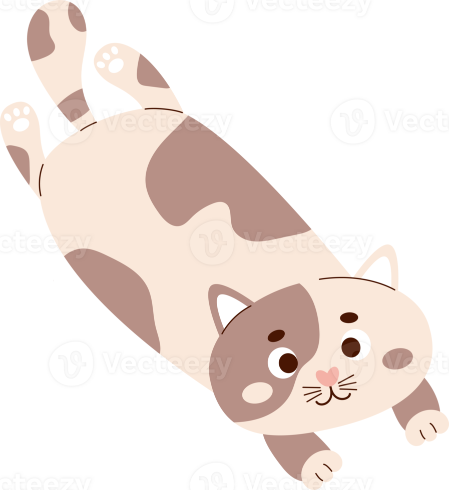 plush cat pillow toy png