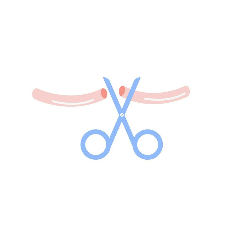 Vasectomy. Male or female sterilization concept. Tubal ligation colored flat style icon. Women or man surgical permanent birth control methods. Surgery procedure. Vector element isolated on white.