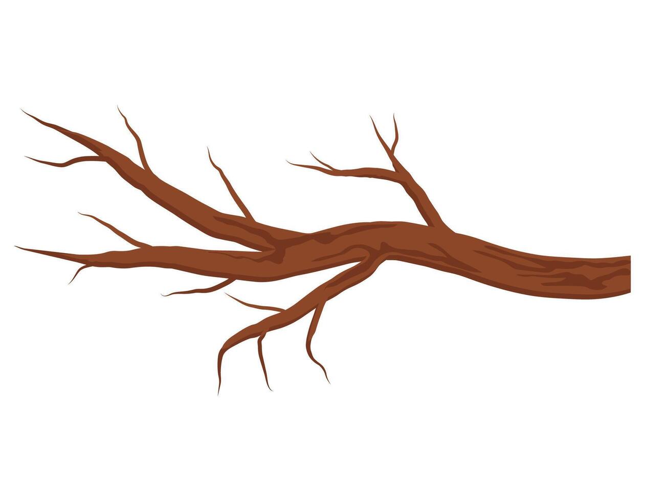 Bare brown tree branch without leaves isolated on white background