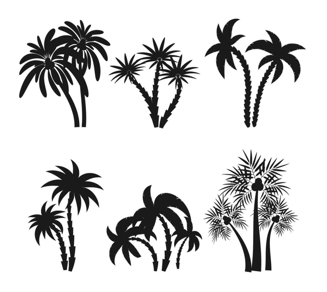Different palm trees set silhouettes isolated on white background. Black tropical plants icons vector illustration. Rainforest jungle plants. Summer beach resort decoration