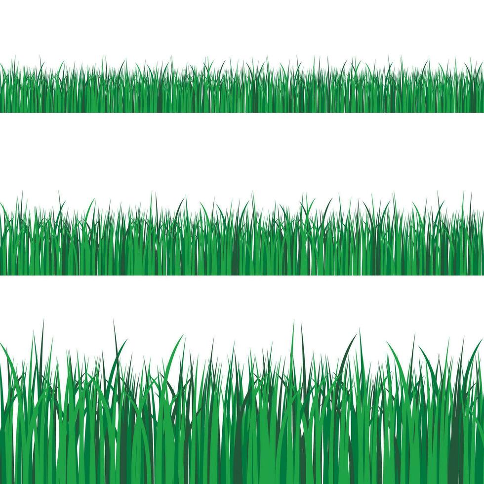 verde césped fronteras conjunto en transparente vector antecedentes. primavera o verano planta campo césped. vector ilustración