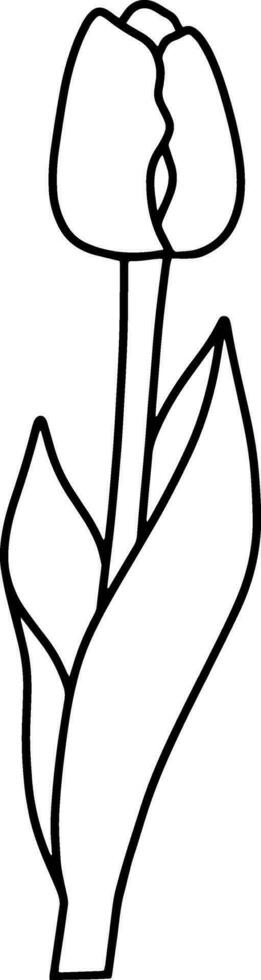 Outline tulip Coloring page book Doodle flower Hand drawn vector illustration