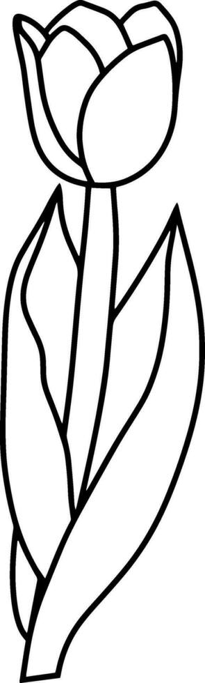 Outline tulip Coloring page book Doodle flower Hand drawn vector illustration