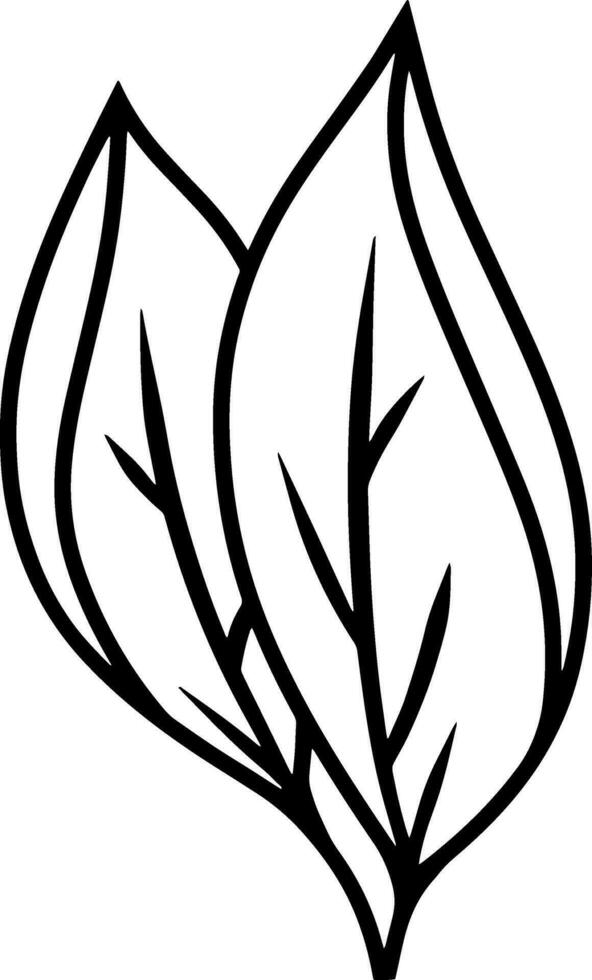 Doodle leaf icon Sketch leaf  clipart Vector illustration