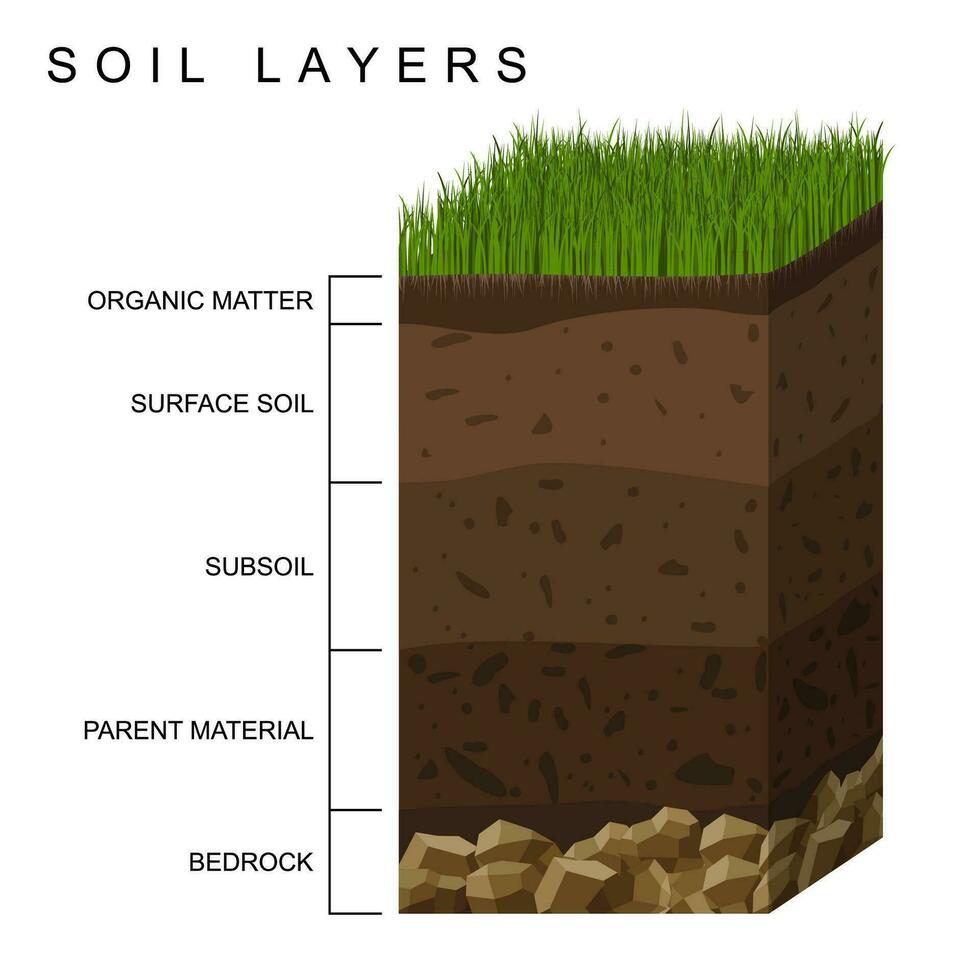 Soil layers diagram earth texture, stones. Ground with green grass on top. Mineral particles, sand, humus and stones, natural fertilizer. Geology infographics. Education for kids. Vector illustration.