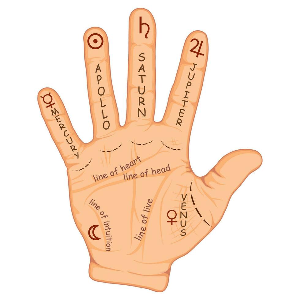 Palmistry or chiromancy hand with signs of the planets and zodiac signs. Palmistry map on open palm. Divination and prediction of the future. Vector illustartion