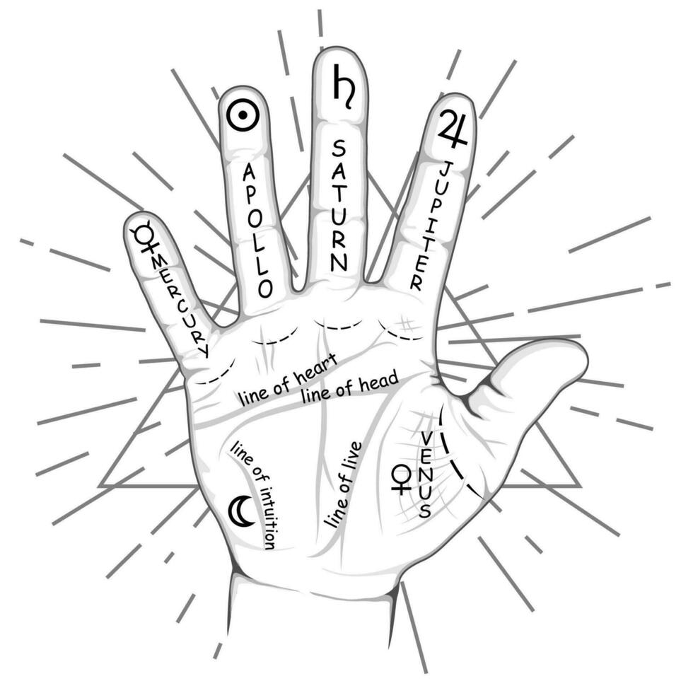 Palmistry or chiromancy hand with signs of the planets and zodiac signs. Palmistry map on open palm. Divination and prediction of the future. Mystic and occult hand drawn symbols. Vector illustartion