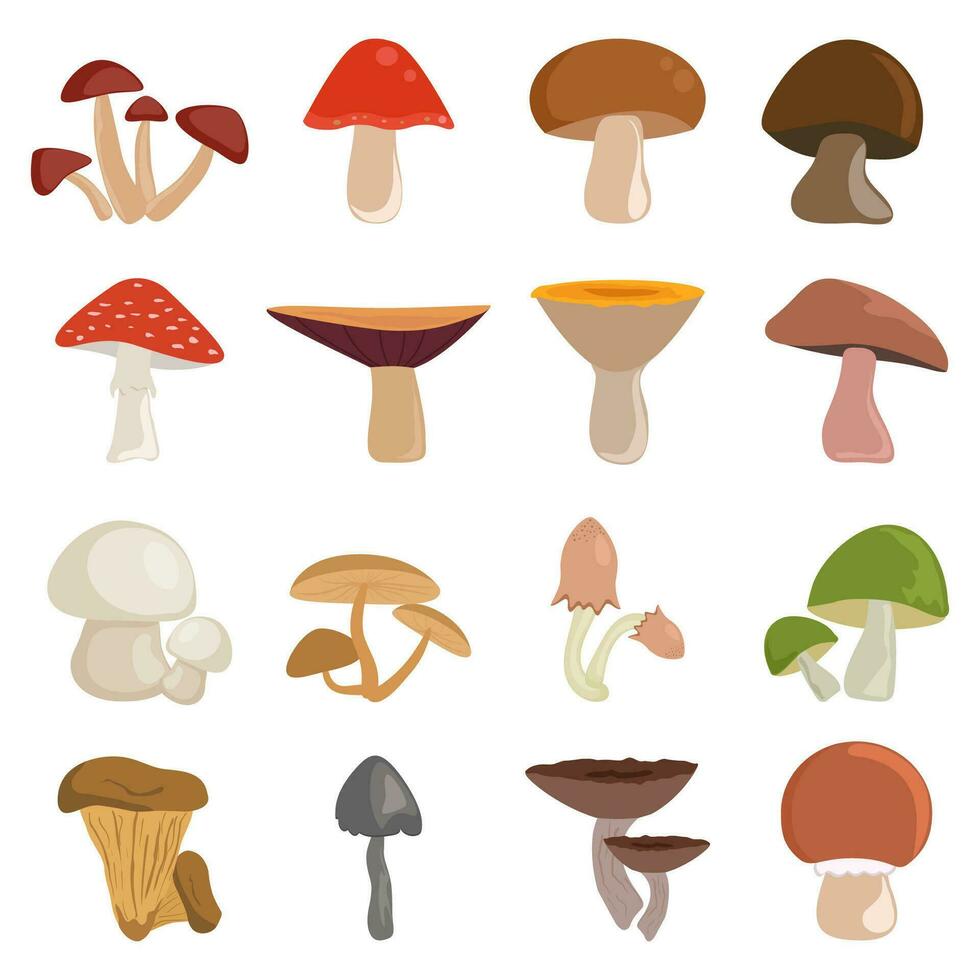 Mushrooms vector illustration set isolated on white background. Different kinds of edible and inedible cartoon mushrooms icons.