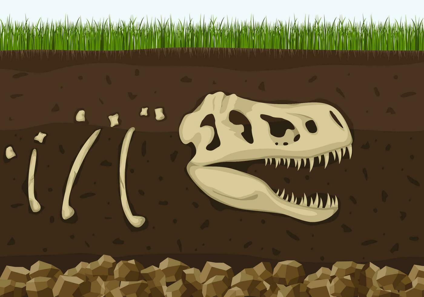 Dinosaur fossil skeleton in soil layers, Dinosaurs reptile skull . Archeology buried bones, ancient extinct prehistory. History of life on Earth concept. Paleontology science background. Vector