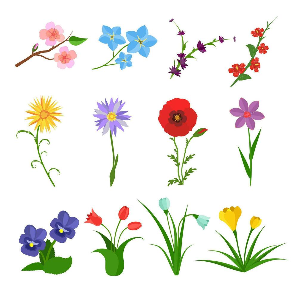 Flowers vector set on white background. Garden wild flower icons. Floral icons, summer spring flat. Rose, iris, tulip, poppy, pansy, crocus Vector illustration