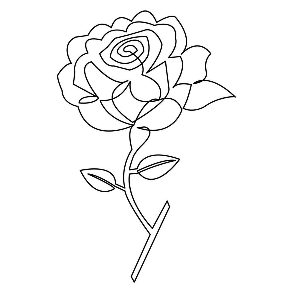 Rose flower continuous single line art drawing outline vector illustration minimalist design