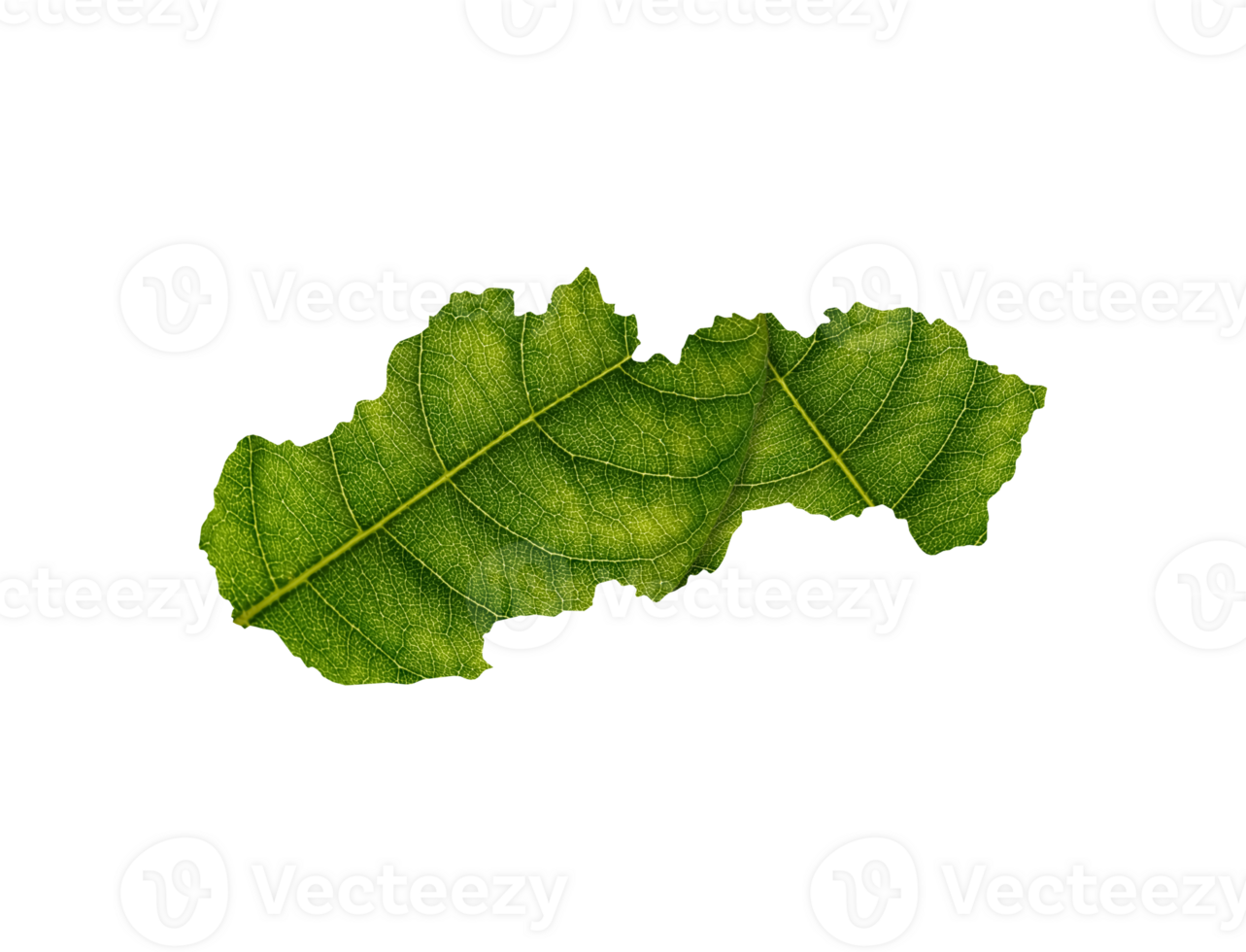 Slovakia map made of green leaves ecology concept png