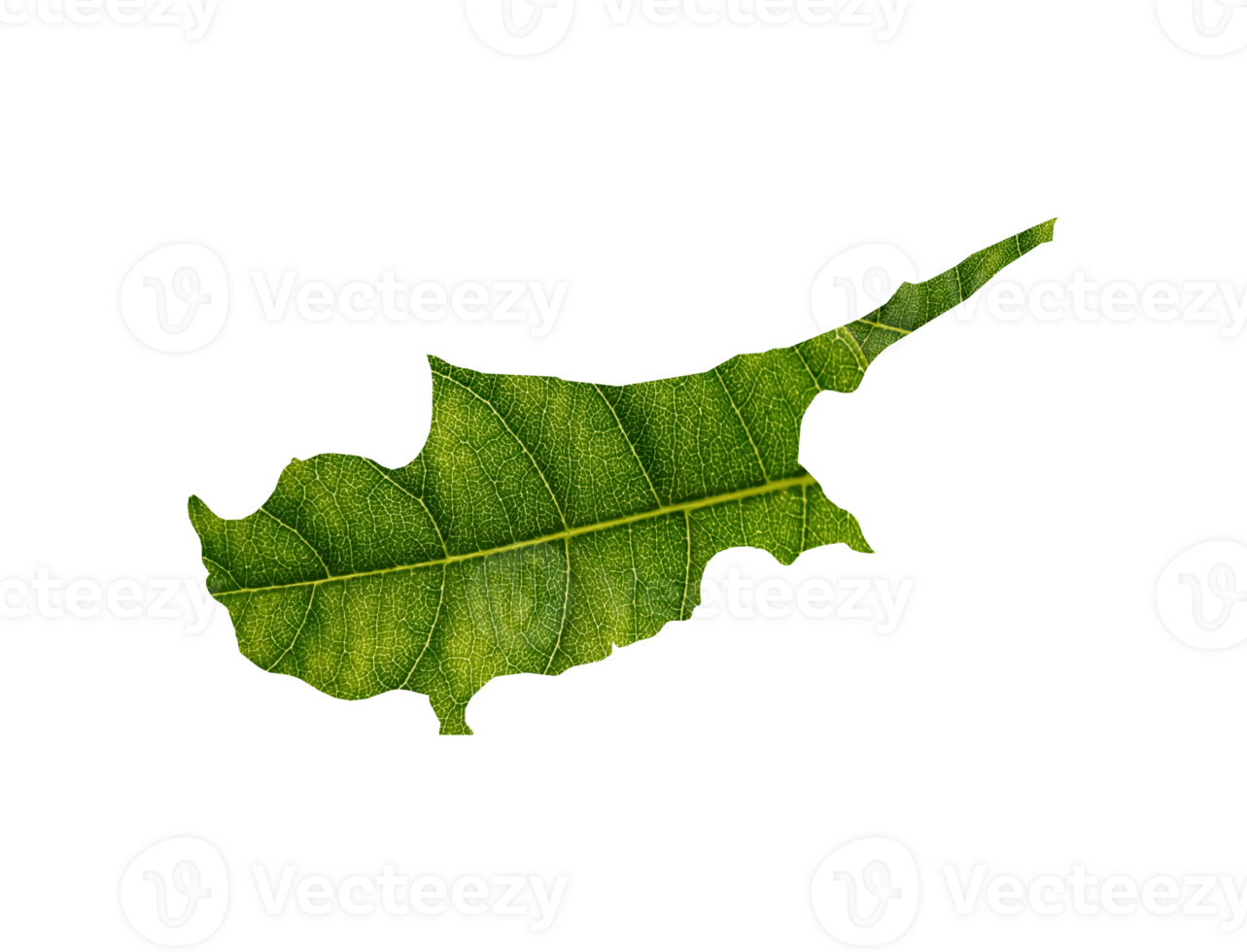 Cyprus map made of green leaves ecology concept png