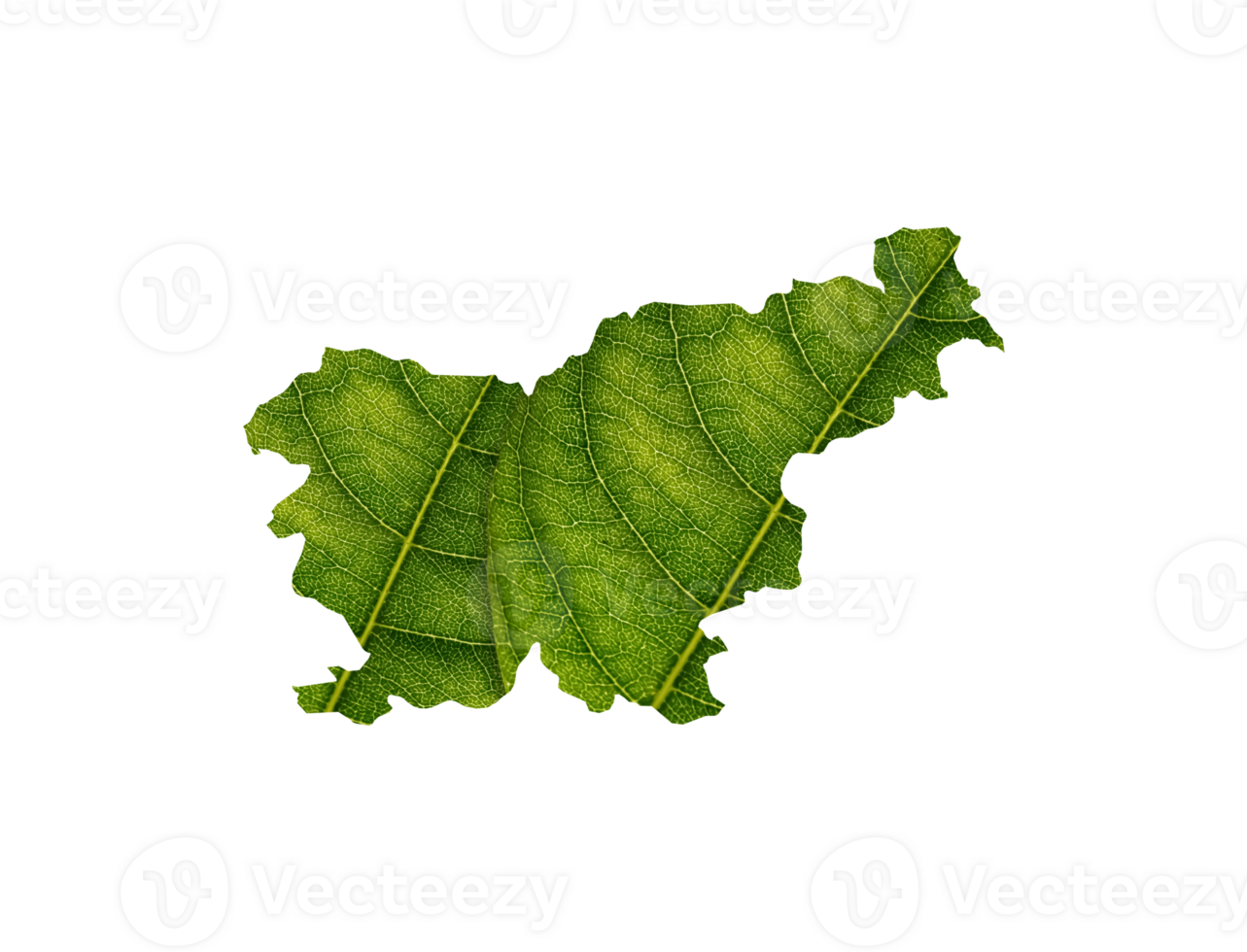 Slovenia map made of green leaves ecology concept png