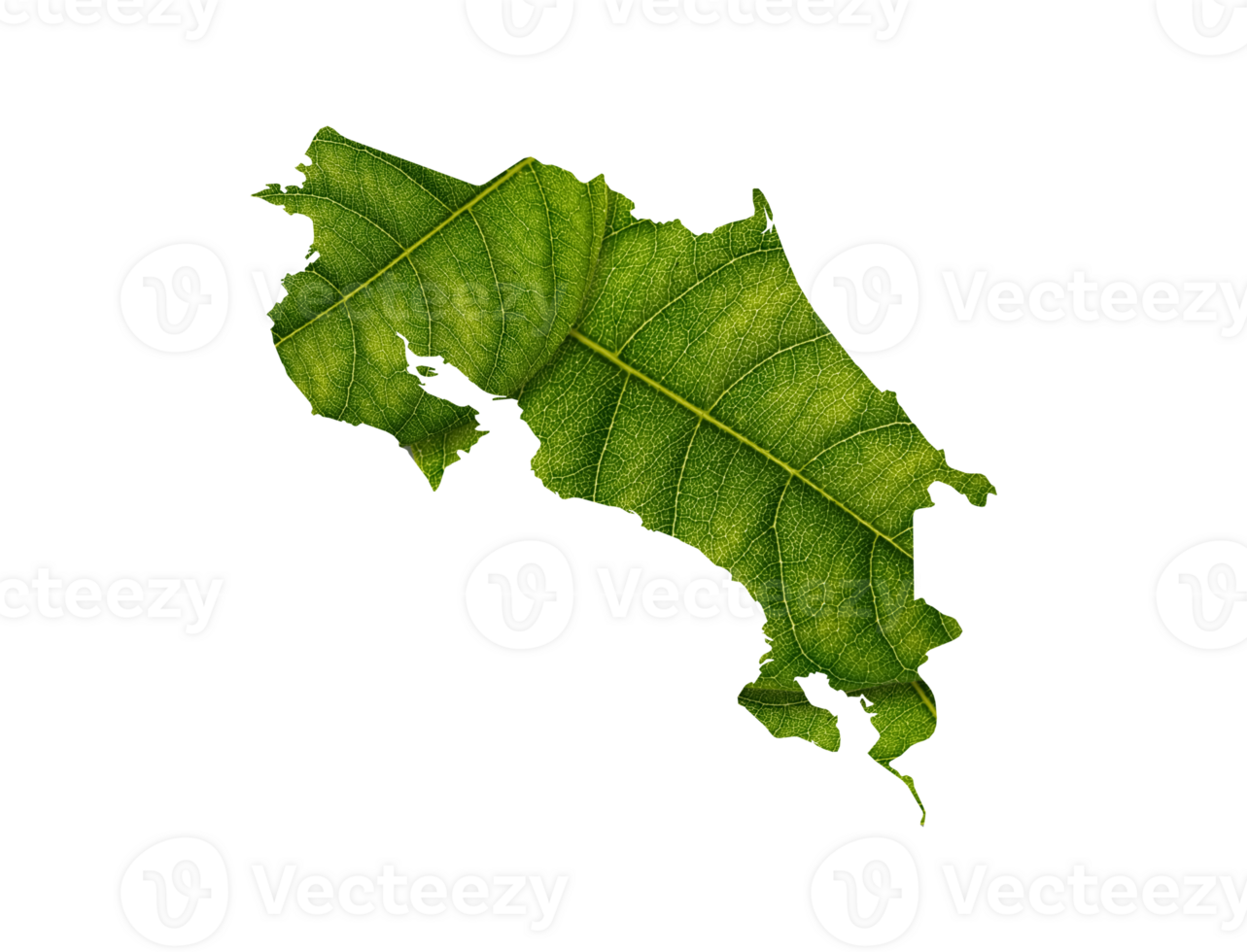Costa Rica map made of green leaves ecology concept png