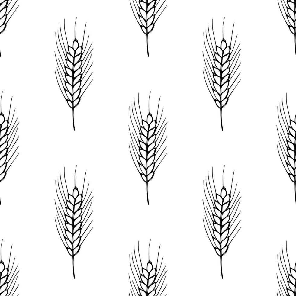 Seamless pattern with wheat doodle for decorative print, wrapping paper, greeting cards, wallpaper and fabric vector