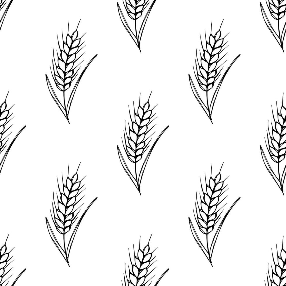 Seamless pattern with wheat doodle for decorative print, wrapping paper, greeting cards, wallpaper and fabric vector