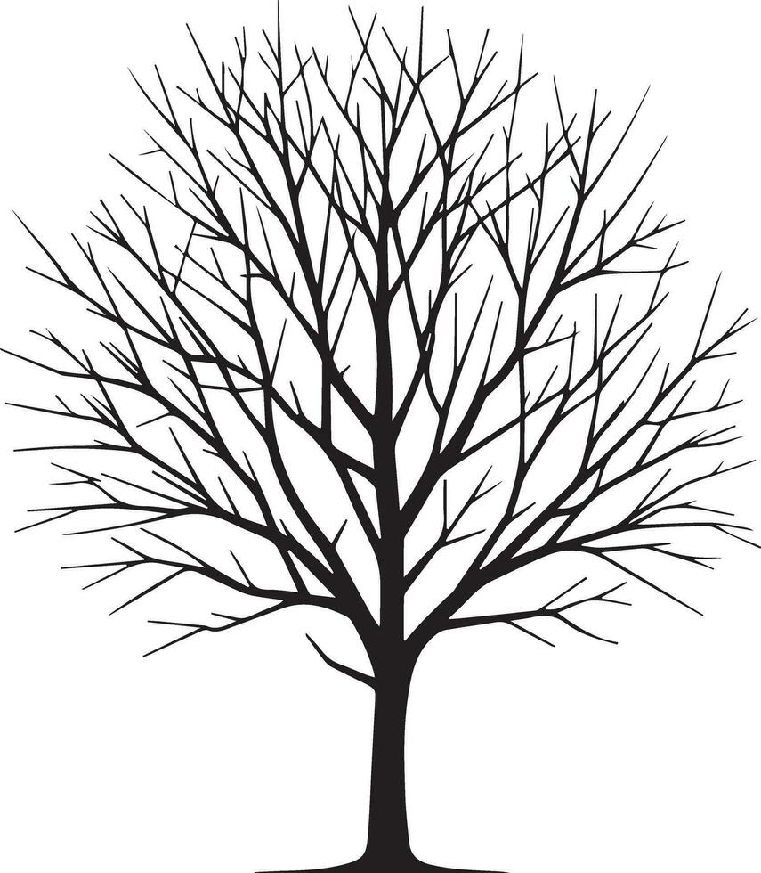 mínimo desnudo árbol silueta vector silueta, negro color silueta, blanco antecedentes 26