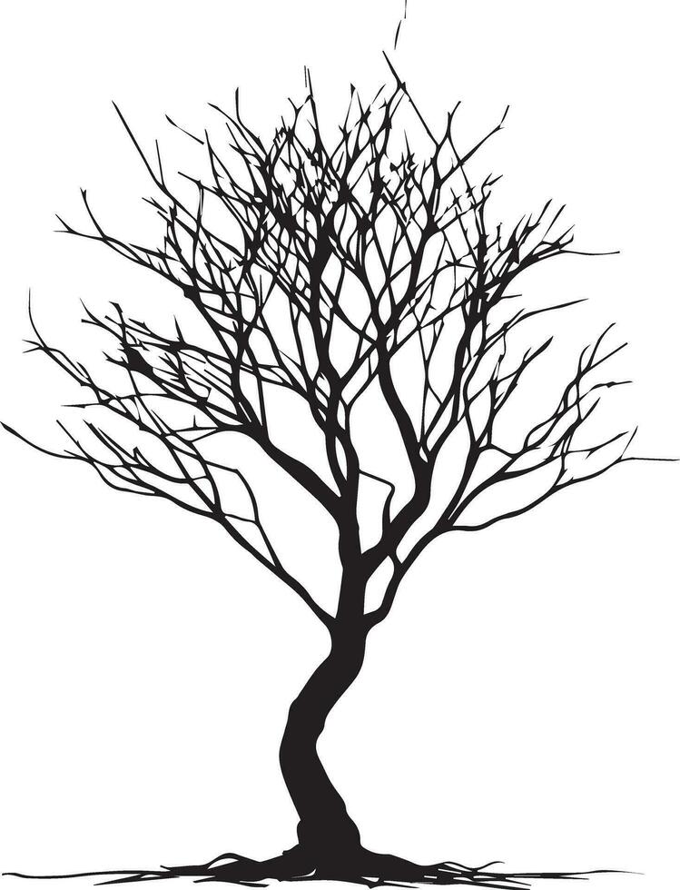 mínimo desnudo árbol silueta vector silueta, negro color silueta, blanco antecedentes 13