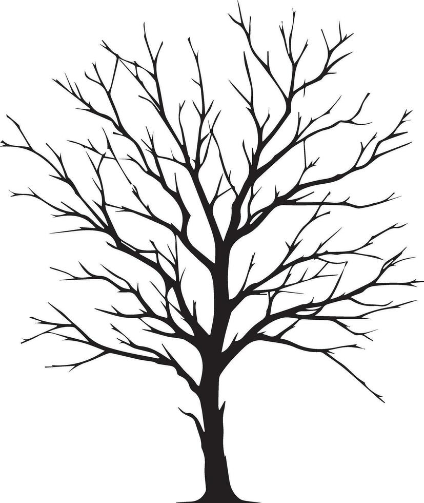 mínimo desnudo árbol silueta vector silueta, negro color silueta, blanco antecedentes 4 4