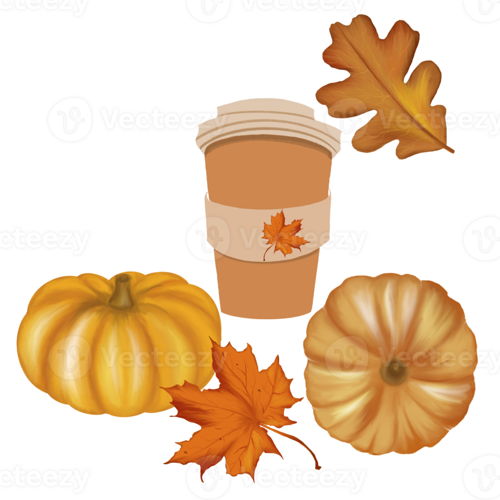 Autumn illustration consisting of elements of pumpkins, a cup of coffee, oak and maple leaves on a transparent background. Elements for your autumn compositions png