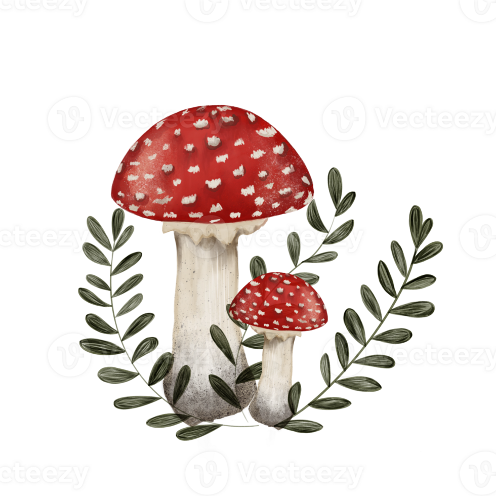 Beautiful illustration pattern of an inedible fly agaric mushroom with a red cap and a white dot on a transparent neutral background png