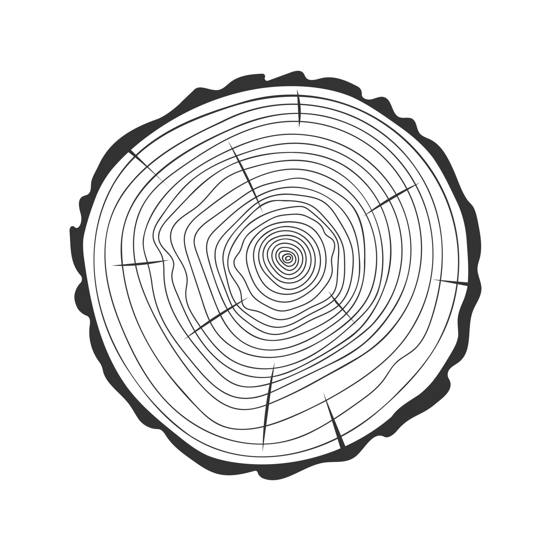 Tree trunk rings in doodle style. Dendrochronology method to determine