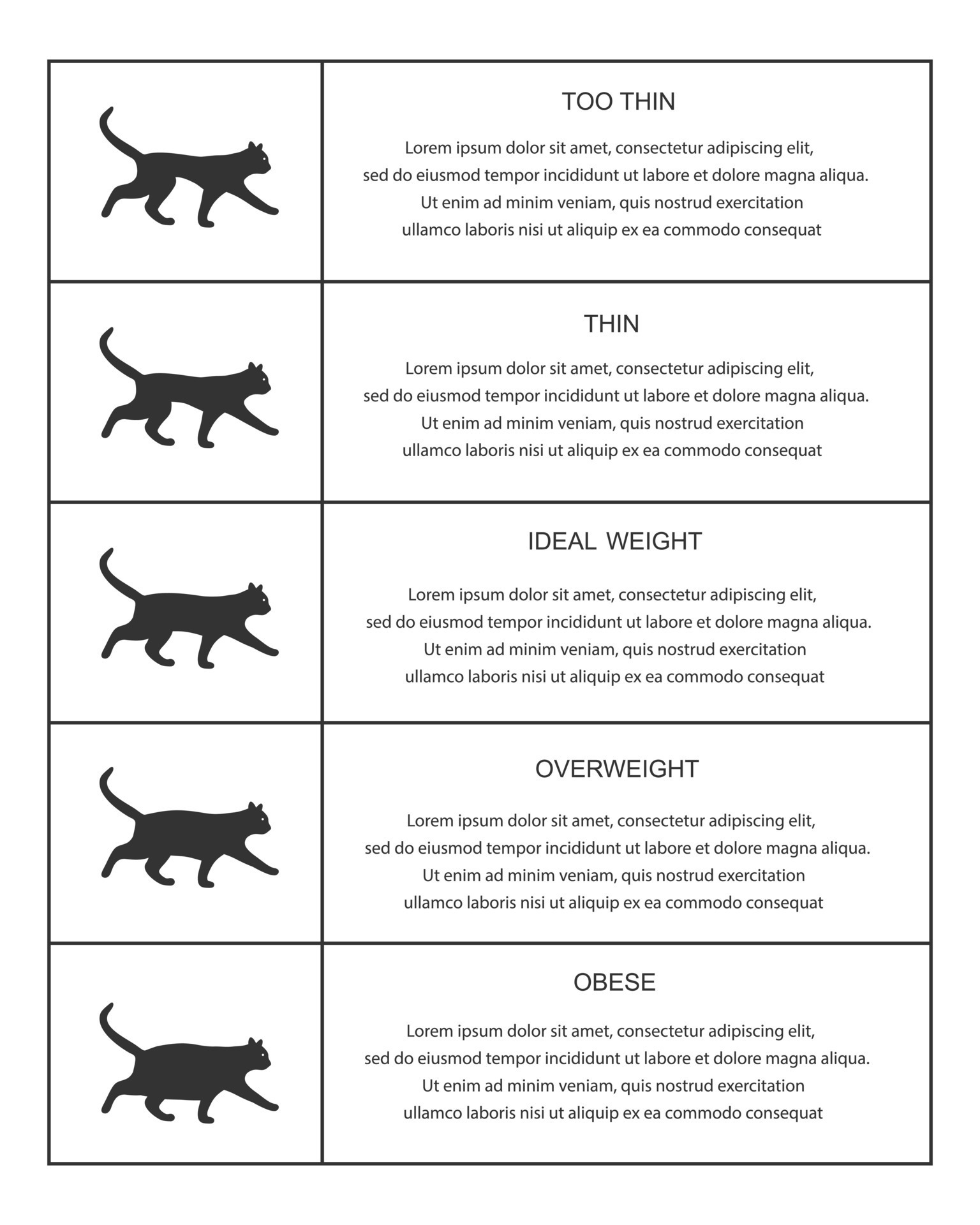 Cat weight chart in infographic table. Kitties silhouettes with normal