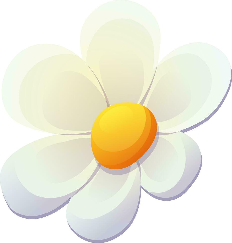vector ilustración de sencillo dibujos animados margarita. blanco flor aislado