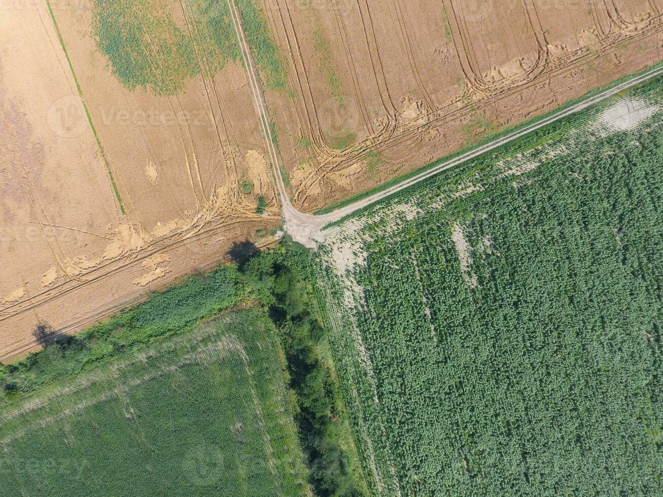 Crossroads paved roads through the fields. View from above photo