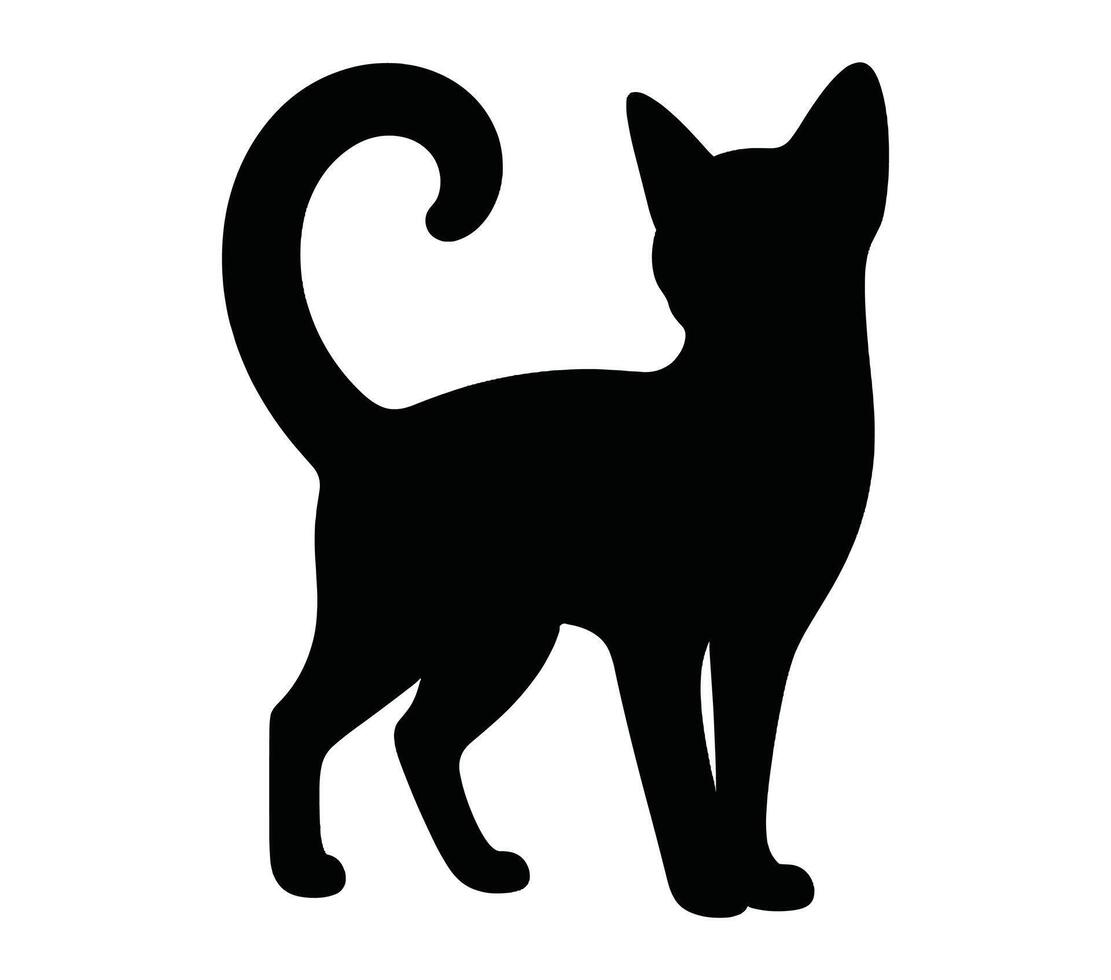 Abyssinian Cat. Vector image. White background.