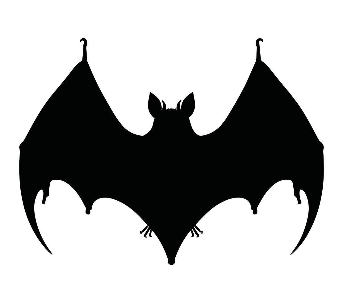 Aba Roundleaf Bat. Vector image. White background.