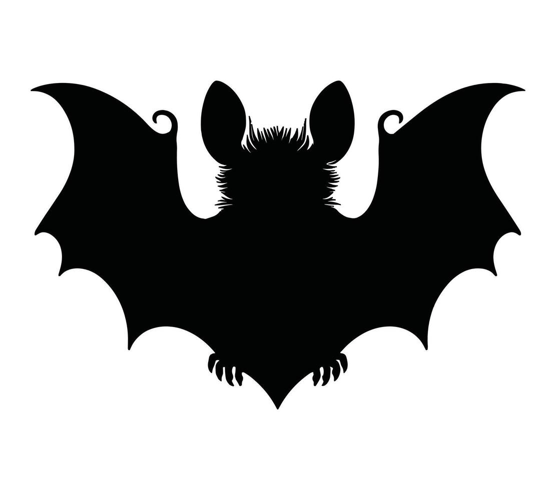 Vector, isolated silhouette of aba roundleaf bat. vector