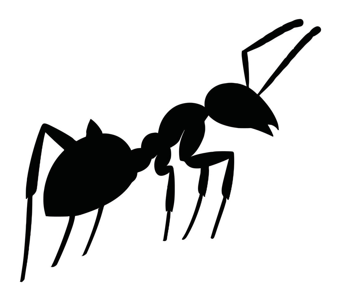 Acacia Ant Silhouette Stock Vector Illustration.