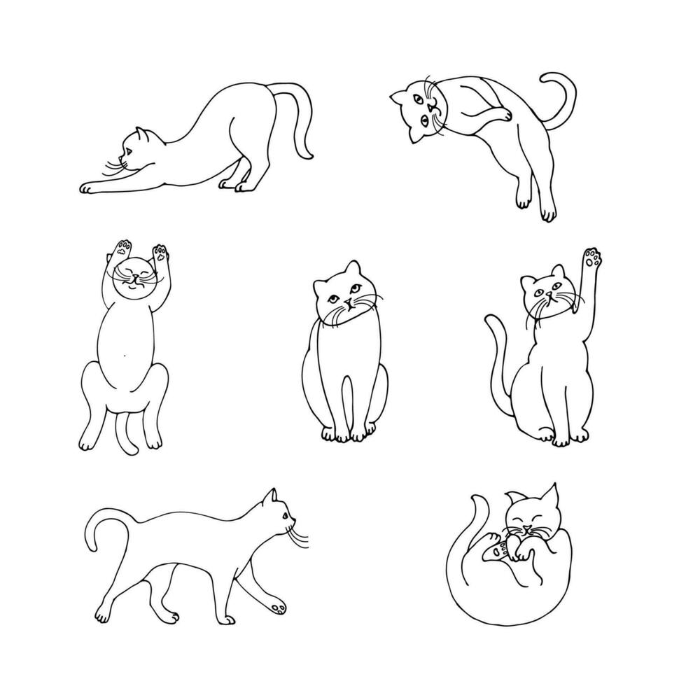 Vector drawing of a group of cats in cartoon style on a white background, hand drawn.