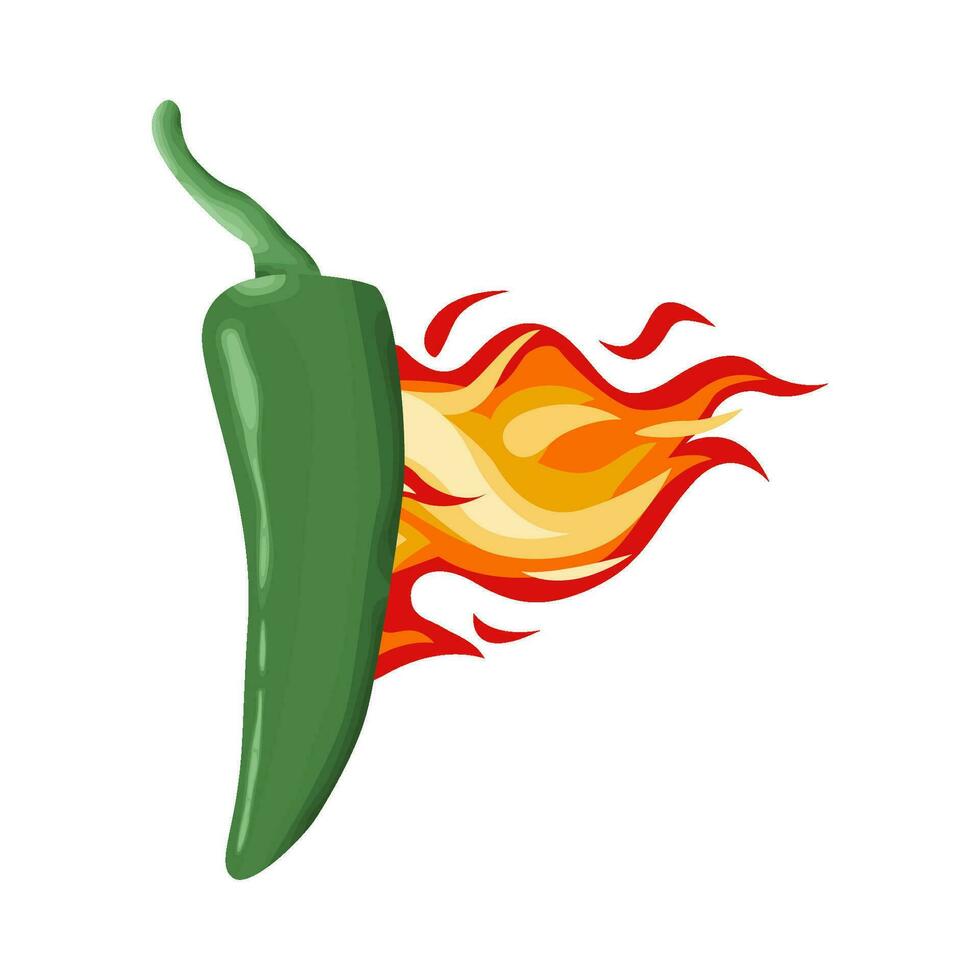 hot fire with hot chili illustration vector
