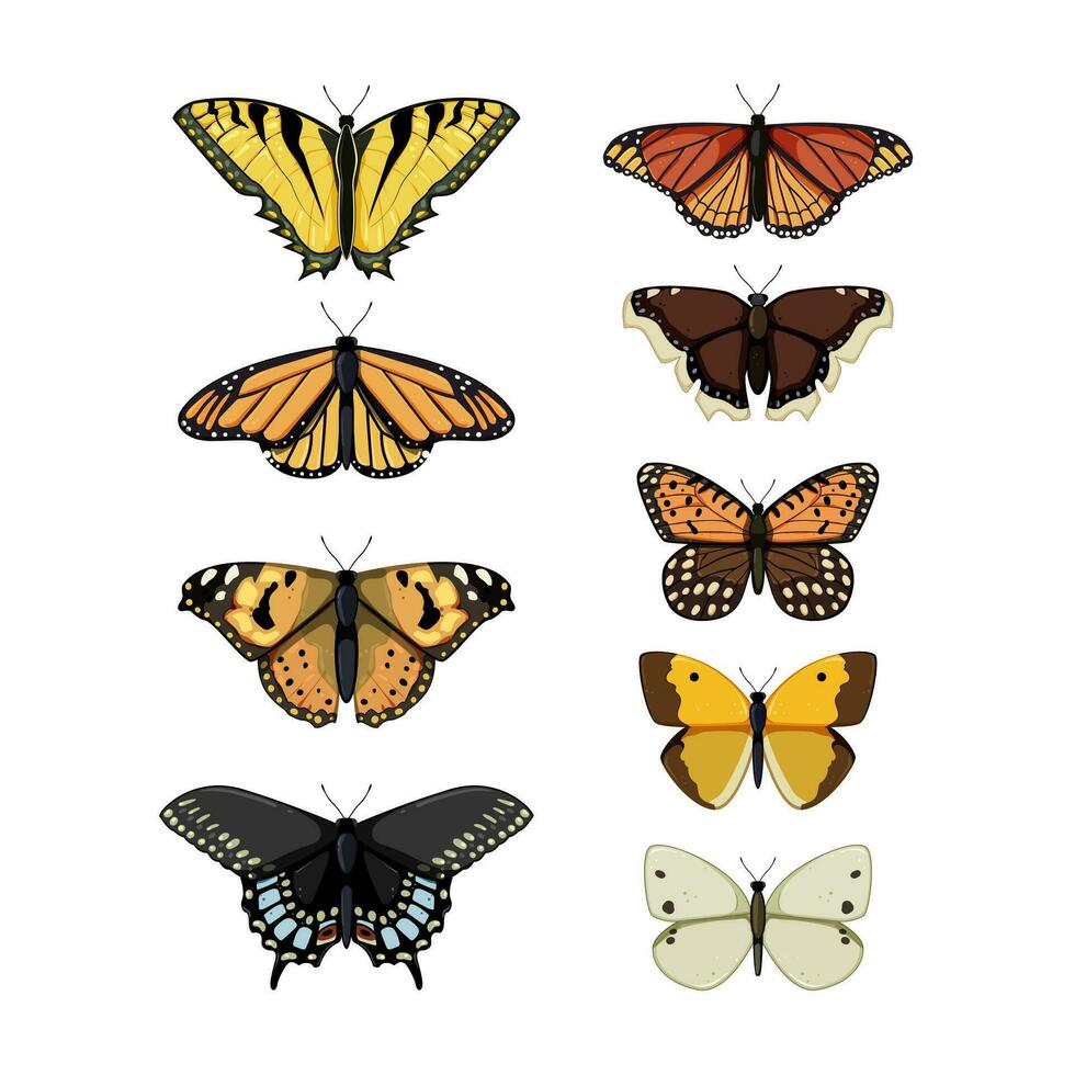 mariposa conjunto dibujos animados vector ilustración