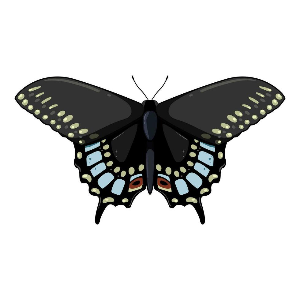 fly butterfly cartoon vector illustration