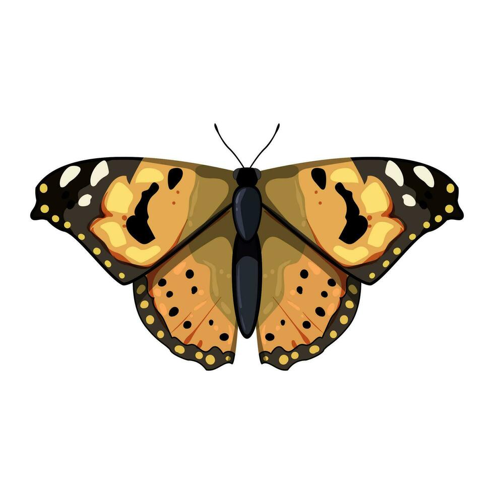 primavera mariposa dibujos animados vector ilustración