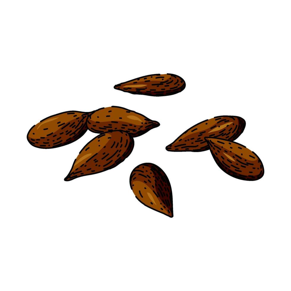 dry flax sketch hand drawn vector