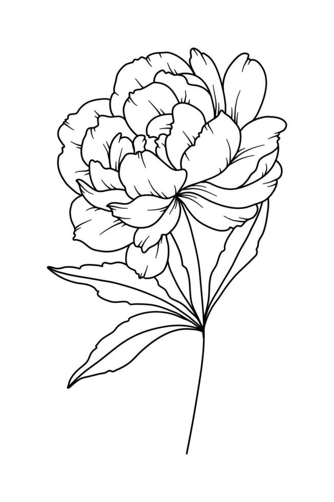 Peony Line Drawing. Black and white Floral Bouquets. Flower Coloring Page. Floral Line Art. Fine Line Peony illustration. Hand Drawn flowers. Botanical Coloring. Wedding invitation flowers vector