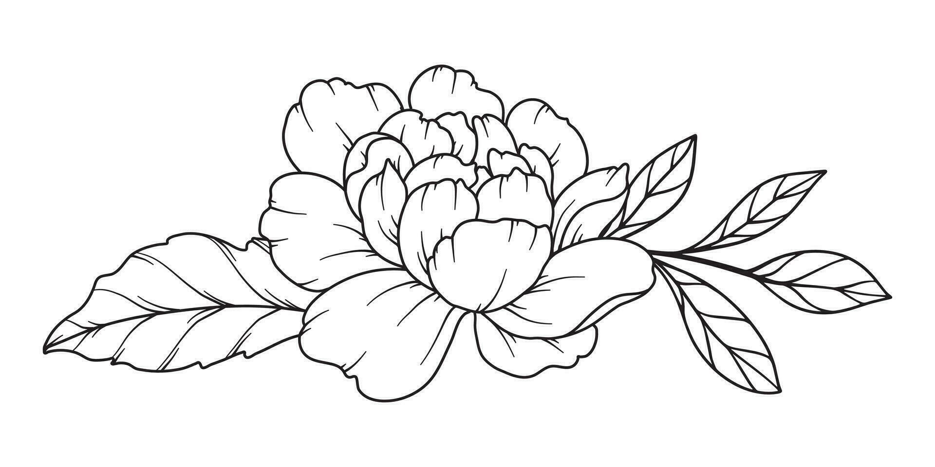 Peony Line Drawing. Black and white Floral Bouquets. Flower Coloring Page. Floral Line Art. Fine Line Peony illustration. Hand Drawn flowers. Botanical Coloring. Wedding invitation flowers vector