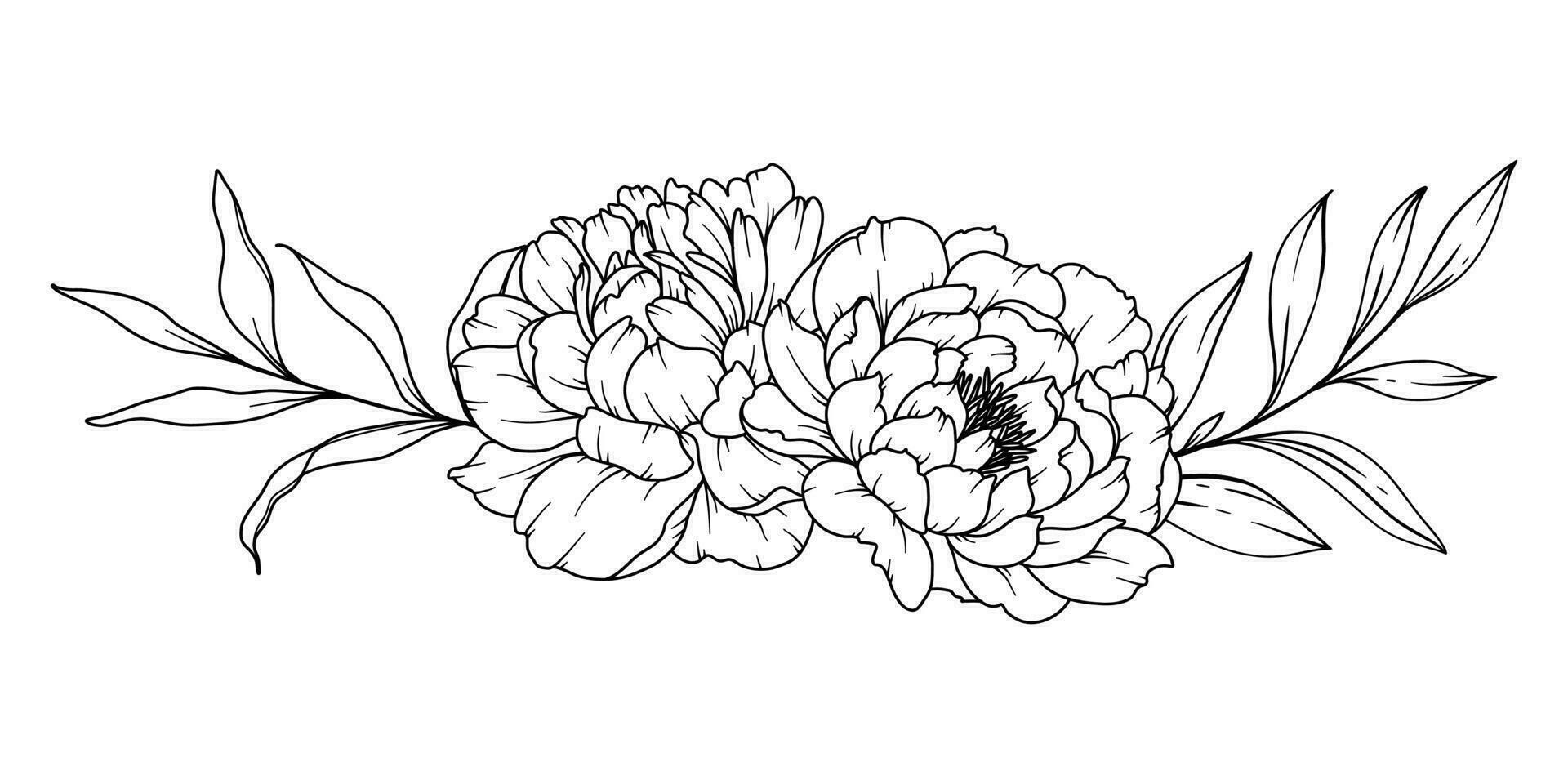 Peony Line Drawing. Black and white Floral Bouquets. Flower Coloring Page. Floral Line Art. Fine Line Peony illustration. Hand Drawn flowers. Botanical Coloring. Wedding invitation flowers vector